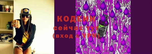 стаф Богородск