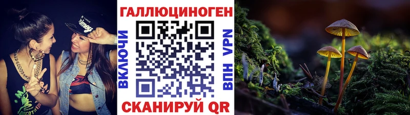 магазин  наркотиков  Обь  Галлюциногенные грибы Psilocybine cubensis 