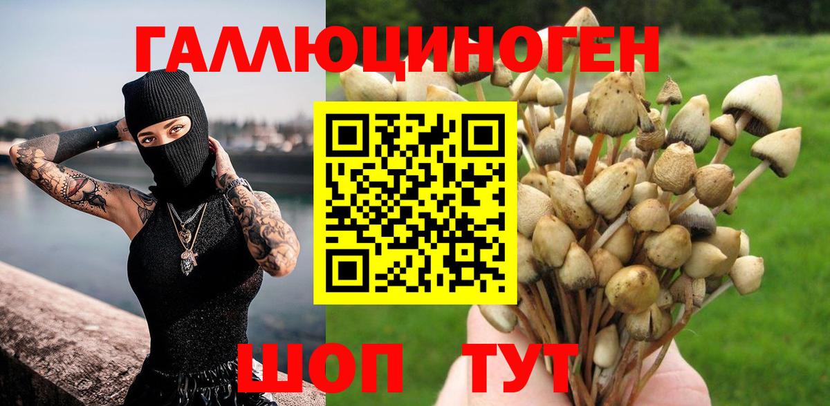 Галлюциногенные грибы прущие грибы Обь