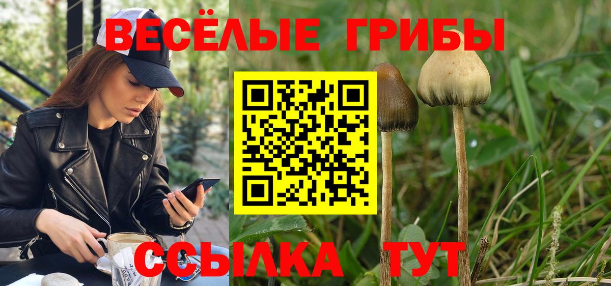 Псилоцибиновые грибы ЛСД Обь