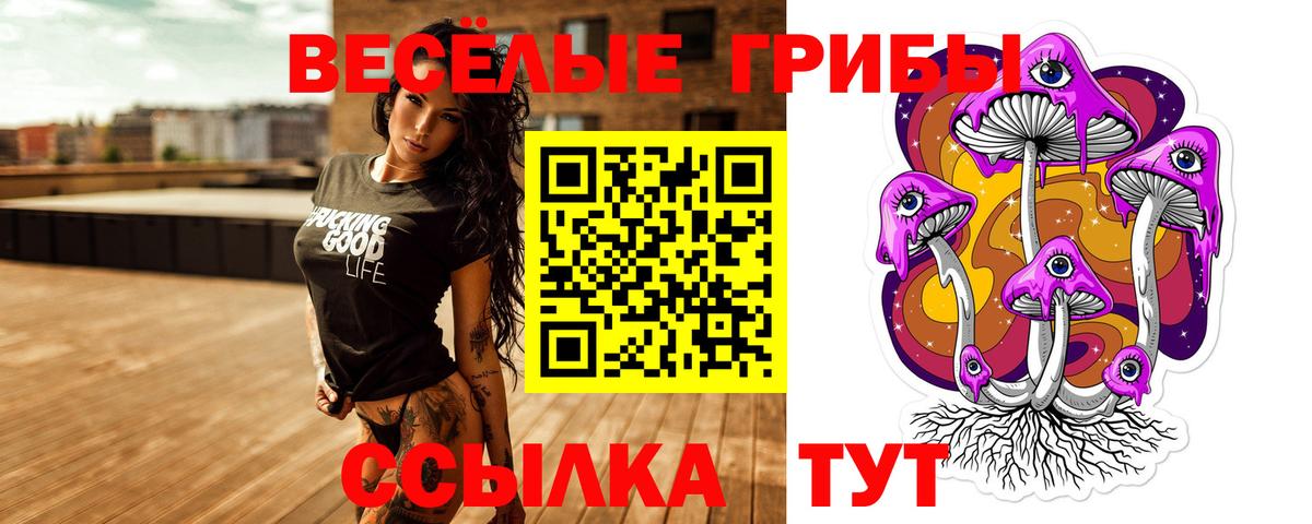 Псилоцибиновые грибы Cubensis  Галлюциногенные грибы MAGIC MUSHROOMS  Вход с VPN  Обь 