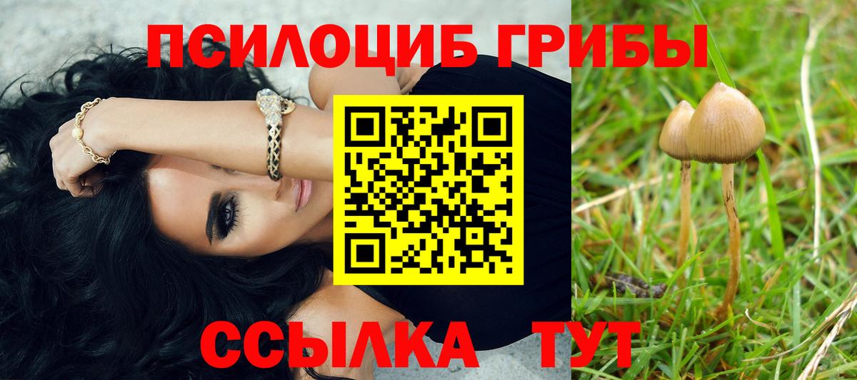 Псилоцибиновые грибы GOLDEN TEACHER  купить закладку  Вход с VPN  Обь  Галлюциногенные грибы ЛСД 